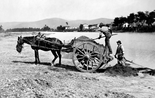 italie, toscane, florence, renaioli au travail, 1920 1930