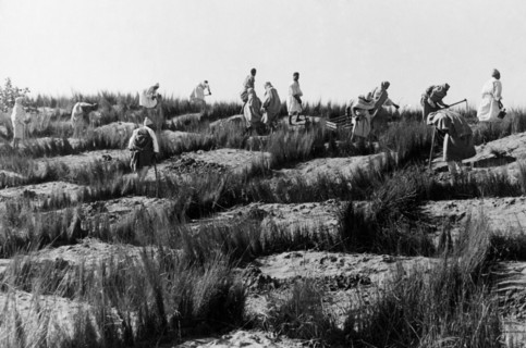 afrique, libye, hommes au travail jetant des ponts sur les dunes, 1930