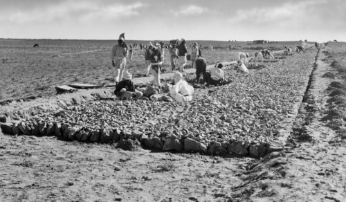 afrique, libye, ouvriers pendant la construction de la route côtière, 1920