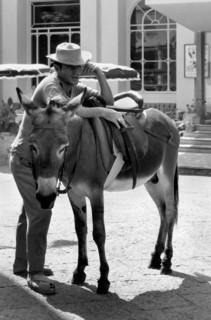 campanie, île de capri, un motif folklorique, 1957