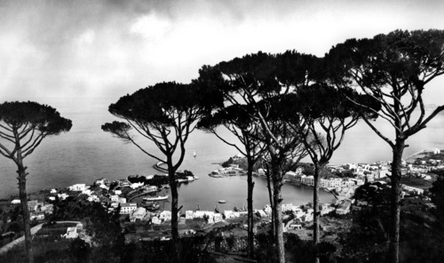 campanie, île d'ischia, vue du port, 1920 1930