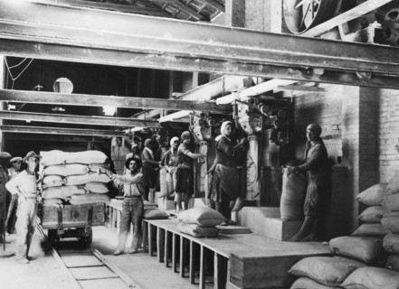 italie, campanie, irpinia, mine de soufre, ensachage du minerai ventilé, 1930