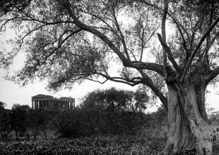 europe, italie, sicile, agrigento, vue du temple de la concorde, 1920 1930
