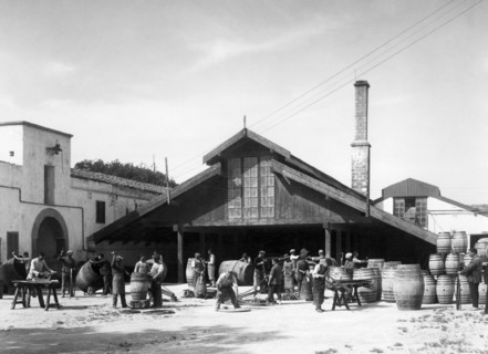 italie, sicile, marsala, entreprise florio, travail et rivetage de tonneaux, 1910 1920