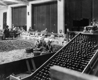 italie, sicile, catane, industrie alimentaire, transformation des fruits, 1920
