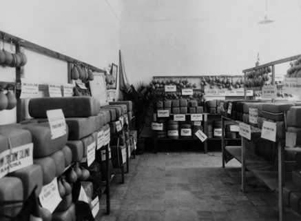 italie, sicile, ragusa, exposition de fromage caciocavallo, 1920 1930