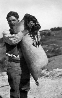 europa, italie, calabre, joueur de cornemuse surdulina, années 1920