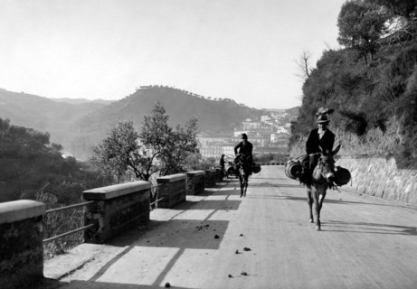europe, italie, calabre, cosenza, utilisation de mules comme moyen de transport, 1934