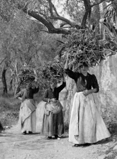europa, italy, calabria, silane peasant women, 1910 1920