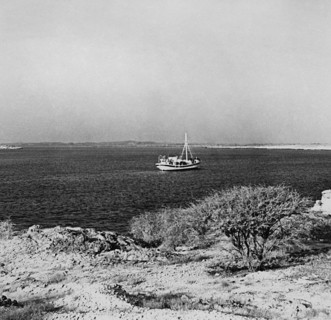 afrique, eritrea, mer rouge, îles dahlak, 1940