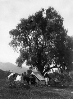 Afrique, Érythrée, stand-by, 1920 1930