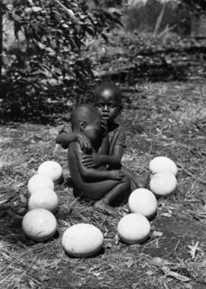 afrique, kenya, enfants indigènes parmi des œufs d'autruche, 1920 1930