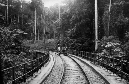 afrique, congo belge, le long du chemin de fer congo - océan à travers la forêt équatoriale, 1935