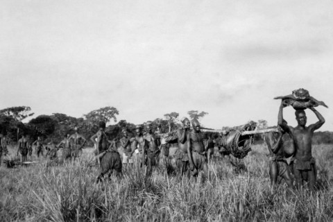 afrique, congo belge, des membres de la tribu mangbetu transportent de la viande obtenue auprès de pygmées, 1927 1930