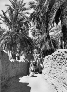 afrique, tunisie, une rue, 1920 1930