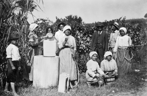 europe, italie, piedmont, monferrato, traitements fongicides, années 1920