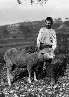 europe, italie, abruzzes, groupe de paysans en train de faucher, 1910 1920