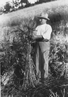 agriculteur, molise, Italie 1920 1930