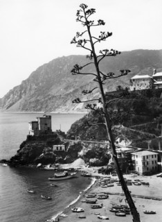 monterosso, ligurie, italie, 1961