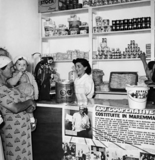 coopératives, maremma, toscane 1955