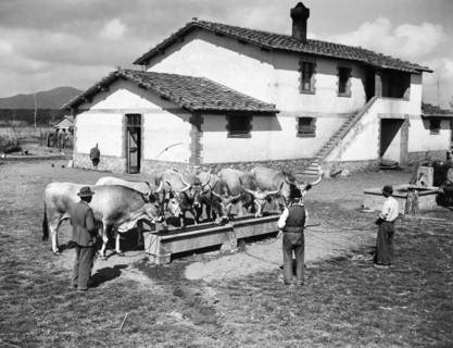 butteri, monepulciano, toscane 1956