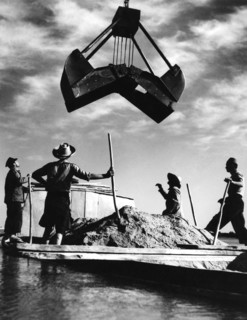rivière po, travailleurs, cremona, lombardia, italie, 1956