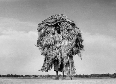pakistan, transport de jute sur l'épaule, 1960