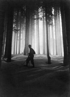 europe, italie, toscane, forêt d'épicéas en valleambrosia, 1930 1940
