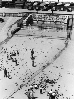 fontaine de gaia, piazza del campo, sienne, toscane, italie, 1954
