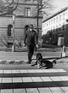 scandicci, florence, assistance, chiens pour aveugles, 1963