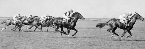 course de chevaux en angleterre, 1954