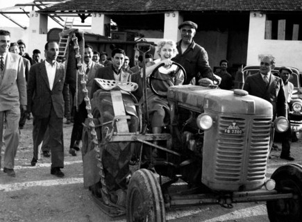 l'ambassadrice usa clara luce bothe visite une ferme en lucanie, 1964