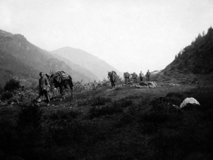 guerre, fournitures, 1915-18