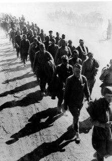 Retraite de la campagne de Russie, 1951