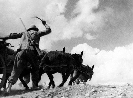 opérations à l'aide de mules, 1925 1935