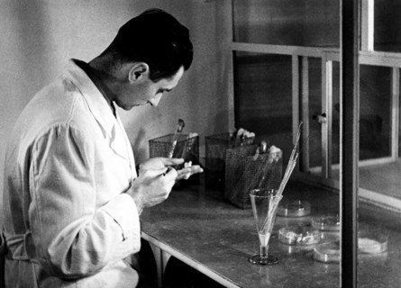 culture de vers à soie en laboratoire, 1930