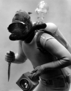 plongeur dans les eaux de key west, 1962
