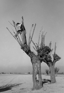 photographe ezio quiresi, 1958