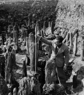 vestiges d'une habitation sur pilotis sur le mincio à isolone, 1957