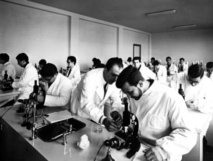 General pathology lesson. Faculty of Medicine and Surgery of the università cattolica del sacro cuore. rome 1960