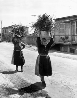Italy. Lazio. women of Paliano with fagots on their heads. 1965