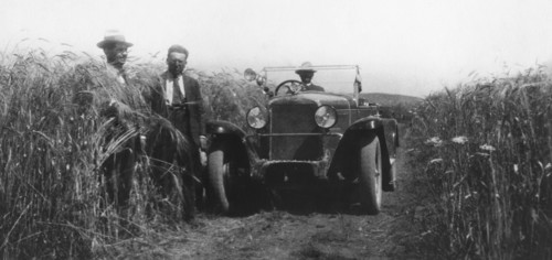 Italy. Basilicata. Matera. Agricolture