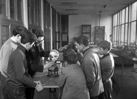 Education. Biology Lesson. 1964