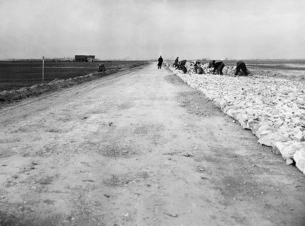 Romea Street From Ravenna To Chioggia. 1956
