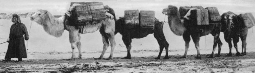 Mongolia. 1910-20