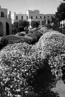 Italy. Campania. Capri Island. View Of Anacapri. 1955
