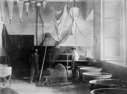 Fishing Department Of A Zoological Station. Naples 1910-20