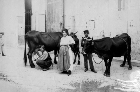 Italy. Campania. Napoli. Milk Street Vendor. 1900-1910