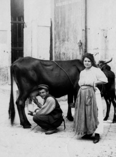 Italy. Campania. Napoli. Milk Street Vendor. 1900-1910