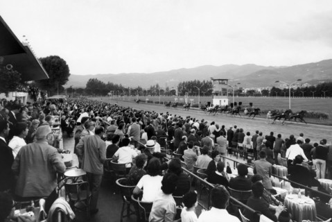 Sesana Racecourse. Montecatini Terme. Tuscany. Italy 1969